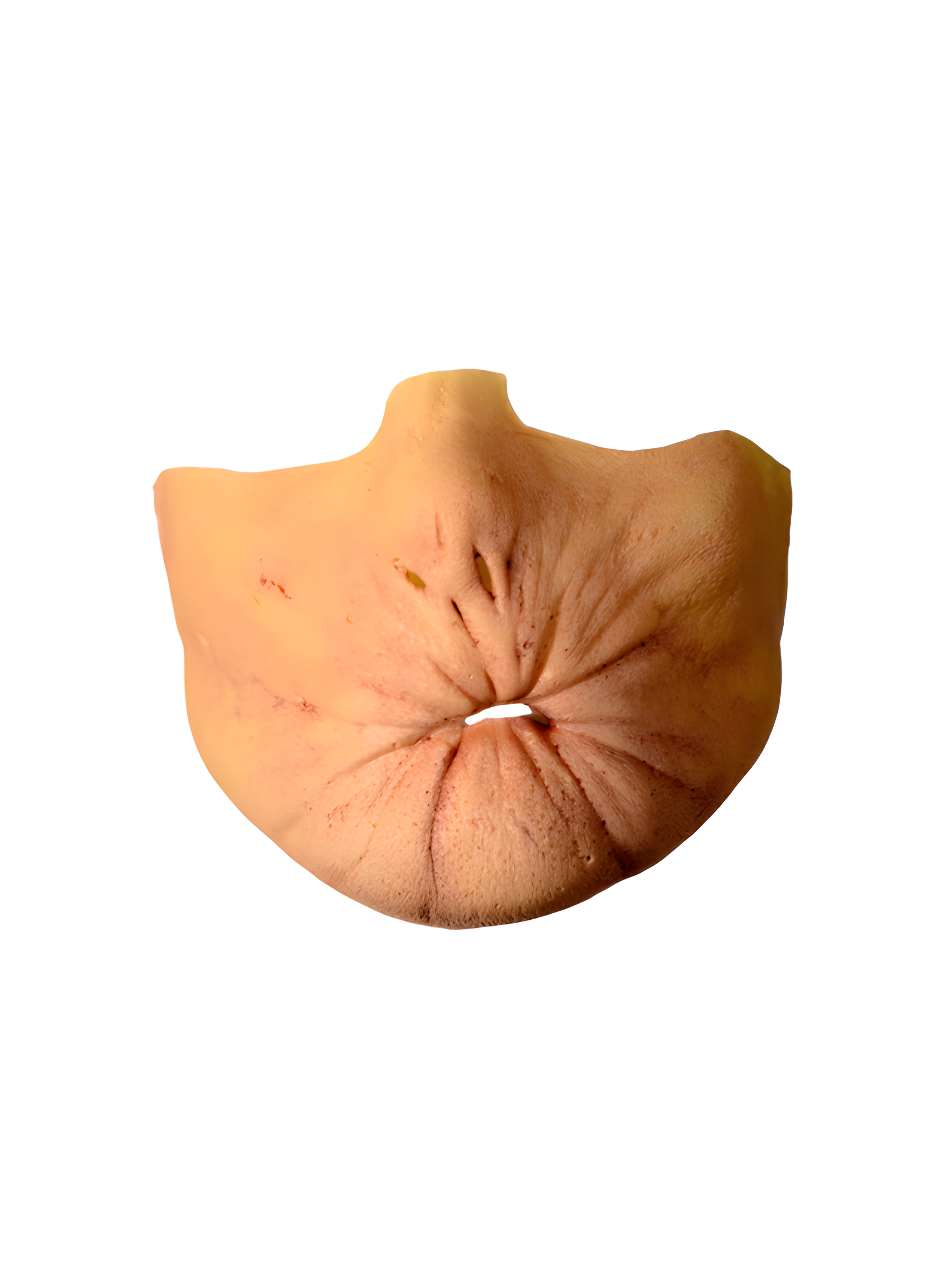 Preacher Arseface Costume Appliance Kit