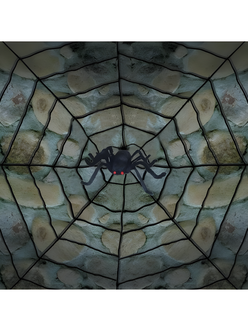 Spiderweb with Spider Prop