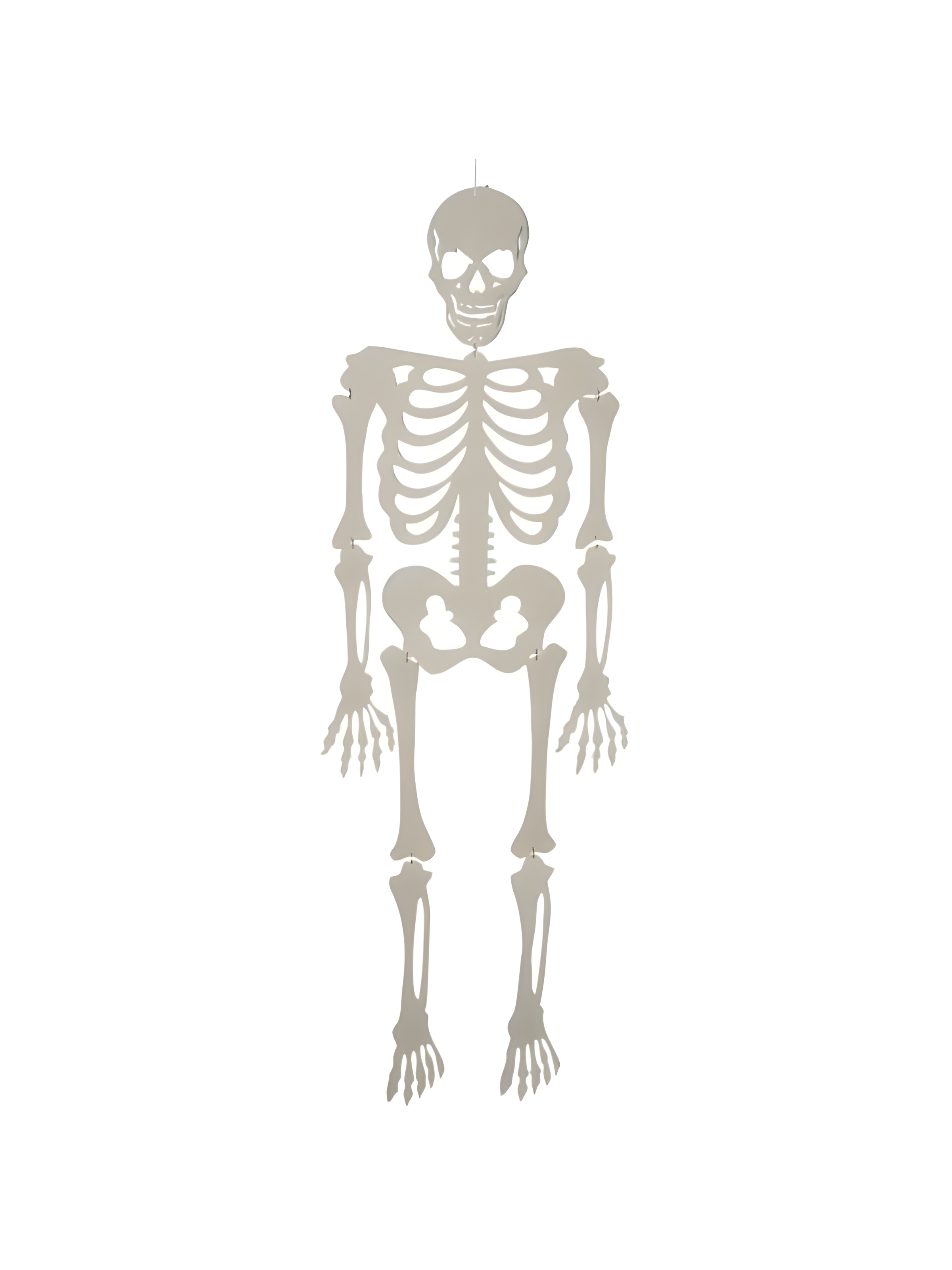 Skeleton Halloween Prop