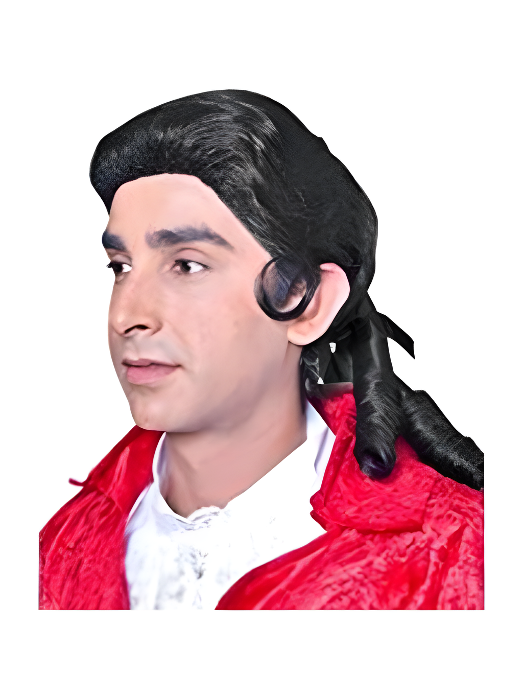 Men's Aristocrat Pirate Costume Wig