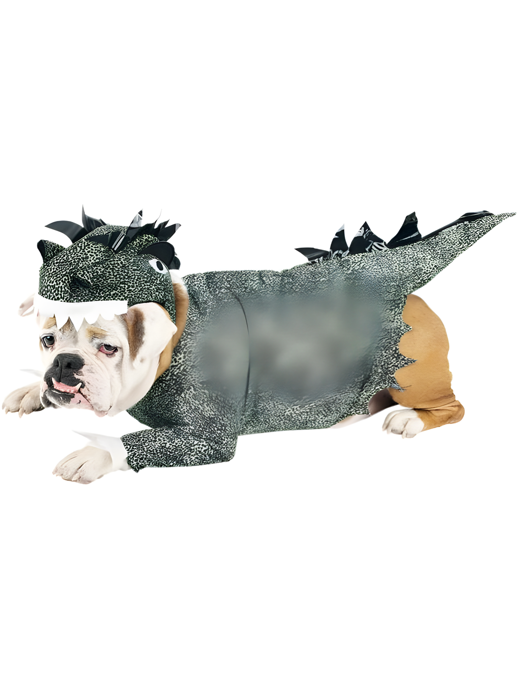 Dinosaur Dog Costume