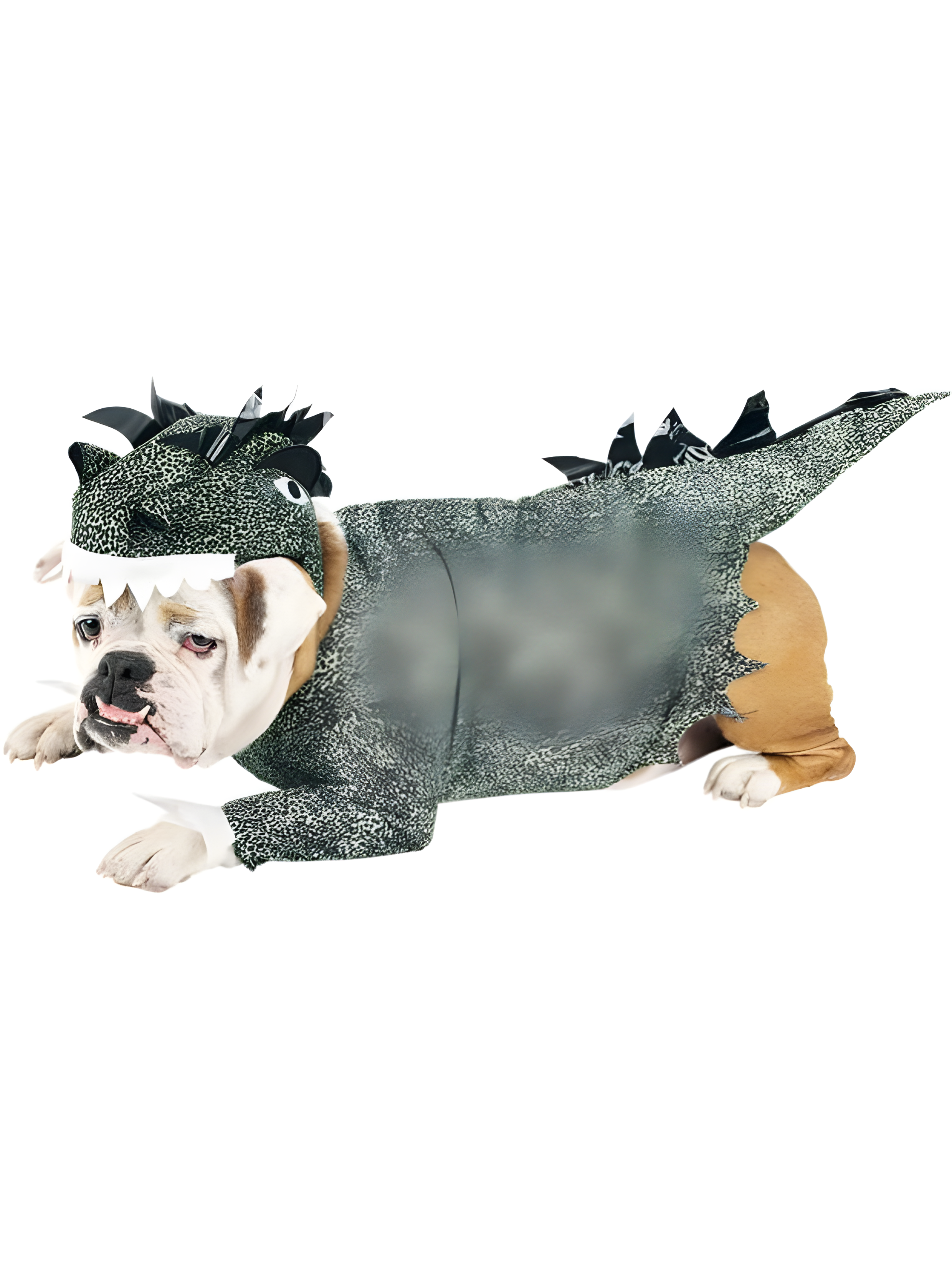 Dinosaur Dog Costume