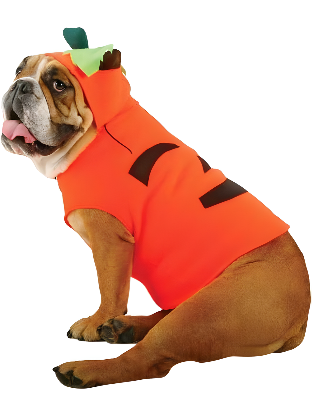 Pumpkin Dog Costume