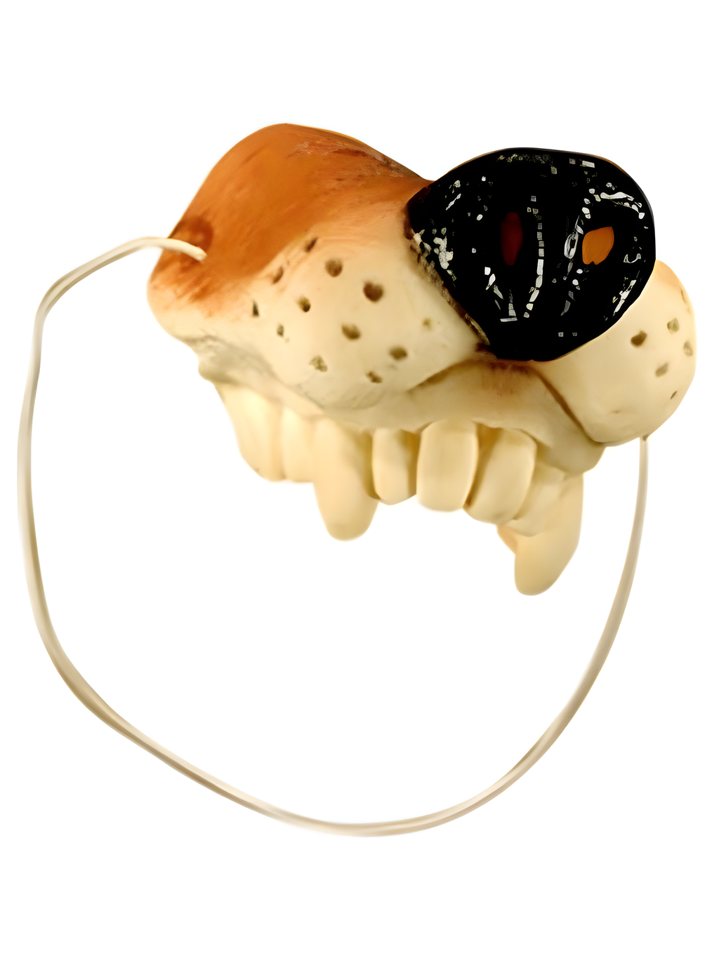 Wolf Nose Mask