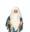 Party King Wizard Wig With Beard