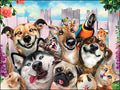 Birthday Card - Pet Selfie
