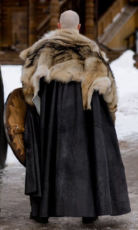 Viking  Ragnar costume