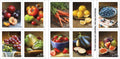 2020 Fruits & Vegetables Forever Postage Stamps – 20 or 100