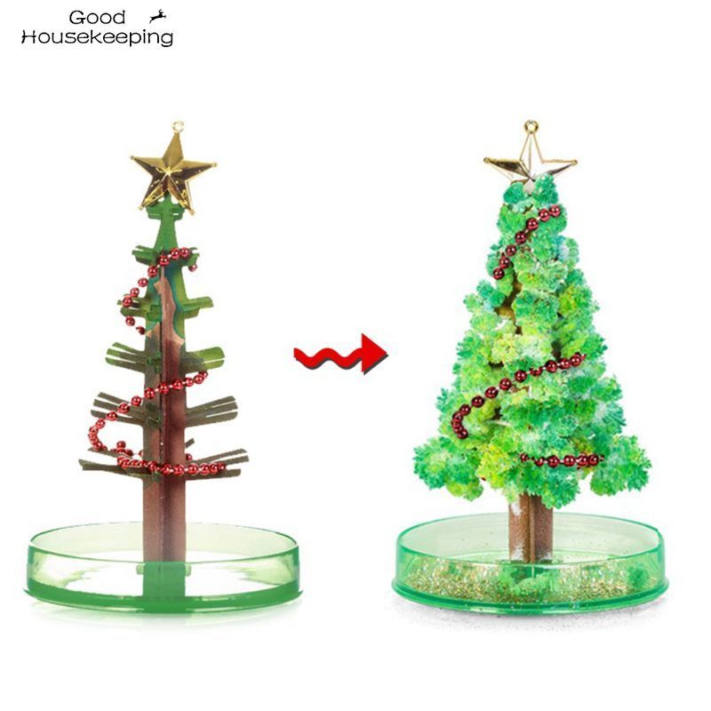 Magical Growing Christmas Tree