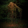 LED Solar Lights string Waterfall Fairy icicle Lights 600 luces