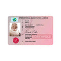 Creative Santa Claus Flight License