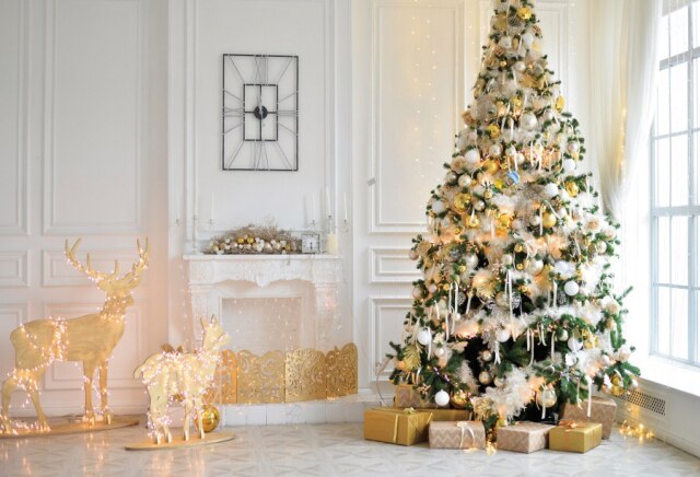 Christmas Backdrops For Photography