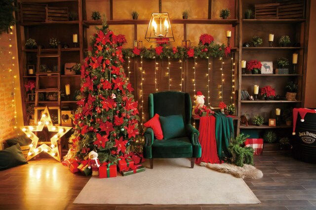 Christmas Backdrops For Photography