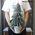 Artificial Mini Christmas Tree
