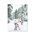 Winter Wonderland Poster Christmas Style Wall Art Canvas Painting