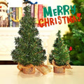 Mini Green Christmas Trees, 20 to 30 cm