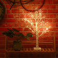 Home Landscape Birch Tree Light Glowing Branch Light