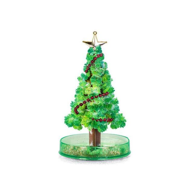 Magic Growing Christmas Tree Plants DIY Magic Growing Tree