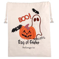 Trick or Treat Bags with Pumpkin Spider Web