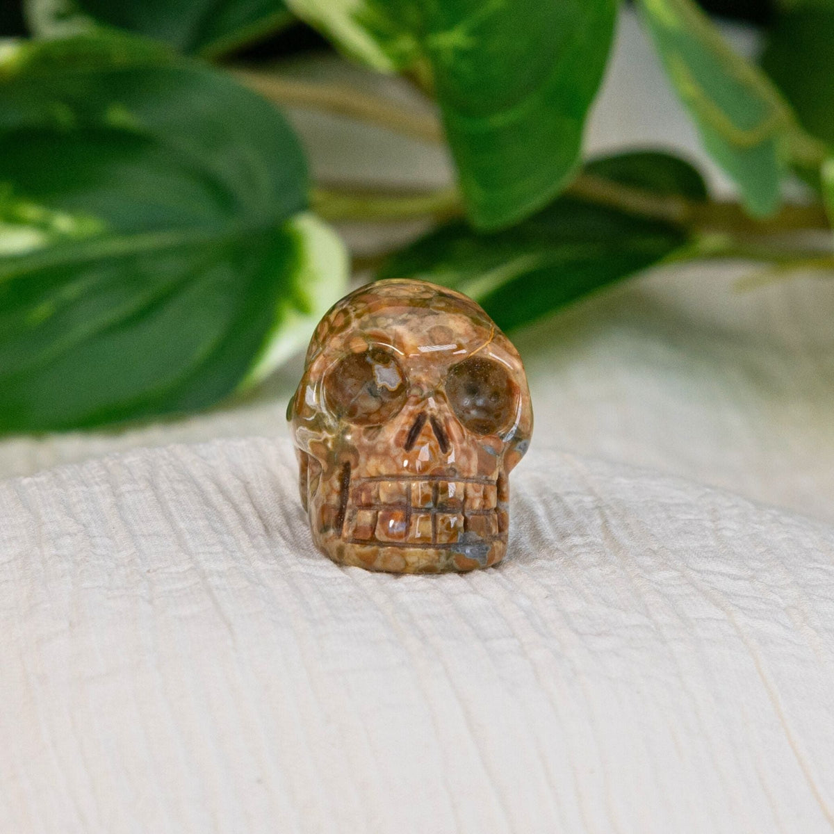 Rhyolite Crystal Skull