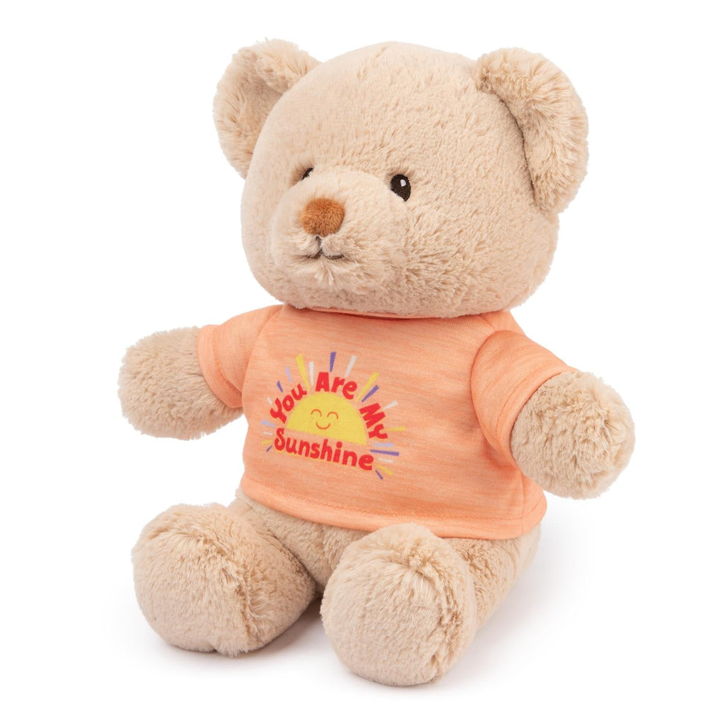 You Are my Sunshine Message Bear
