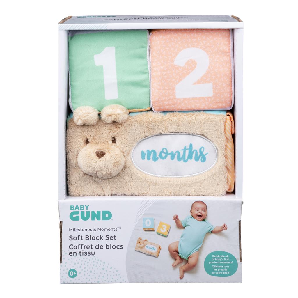 Milestones and Moments Soft Block Set
