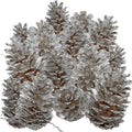 Silver Pine Cones