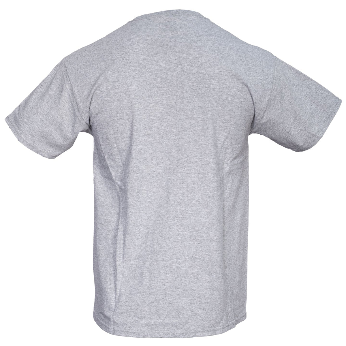 Smokey the Bear Adult Unisex Tonal Gray T-Shirt