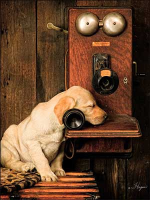Miss You Card - It's Ruff Not Having You Close By
