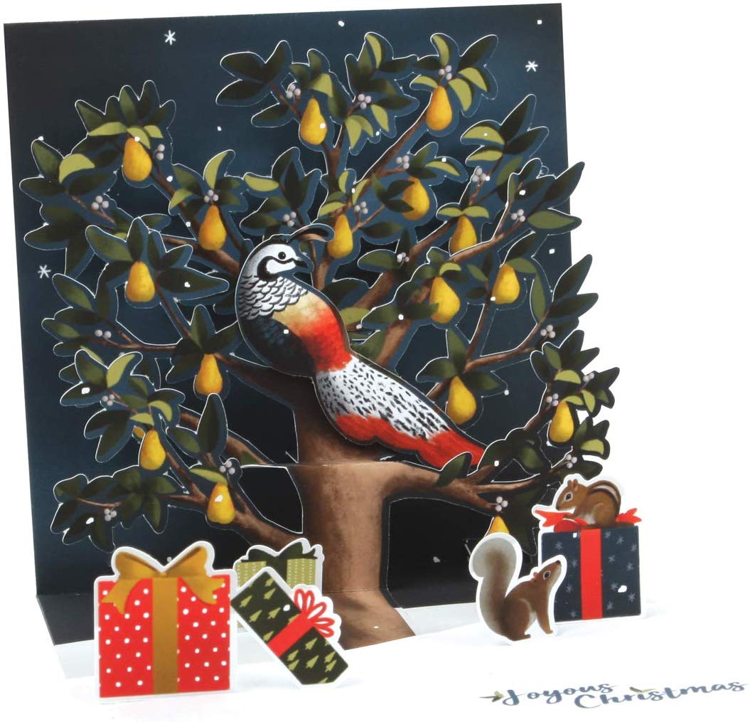Partridge In A Pear Tree Pop Up Card