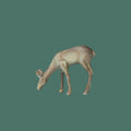 Cast Aluminum Deer, Gold Verdigris Finish, 2 Style Options