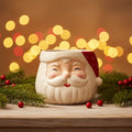 Stoneware Santa Head Shaped Planter