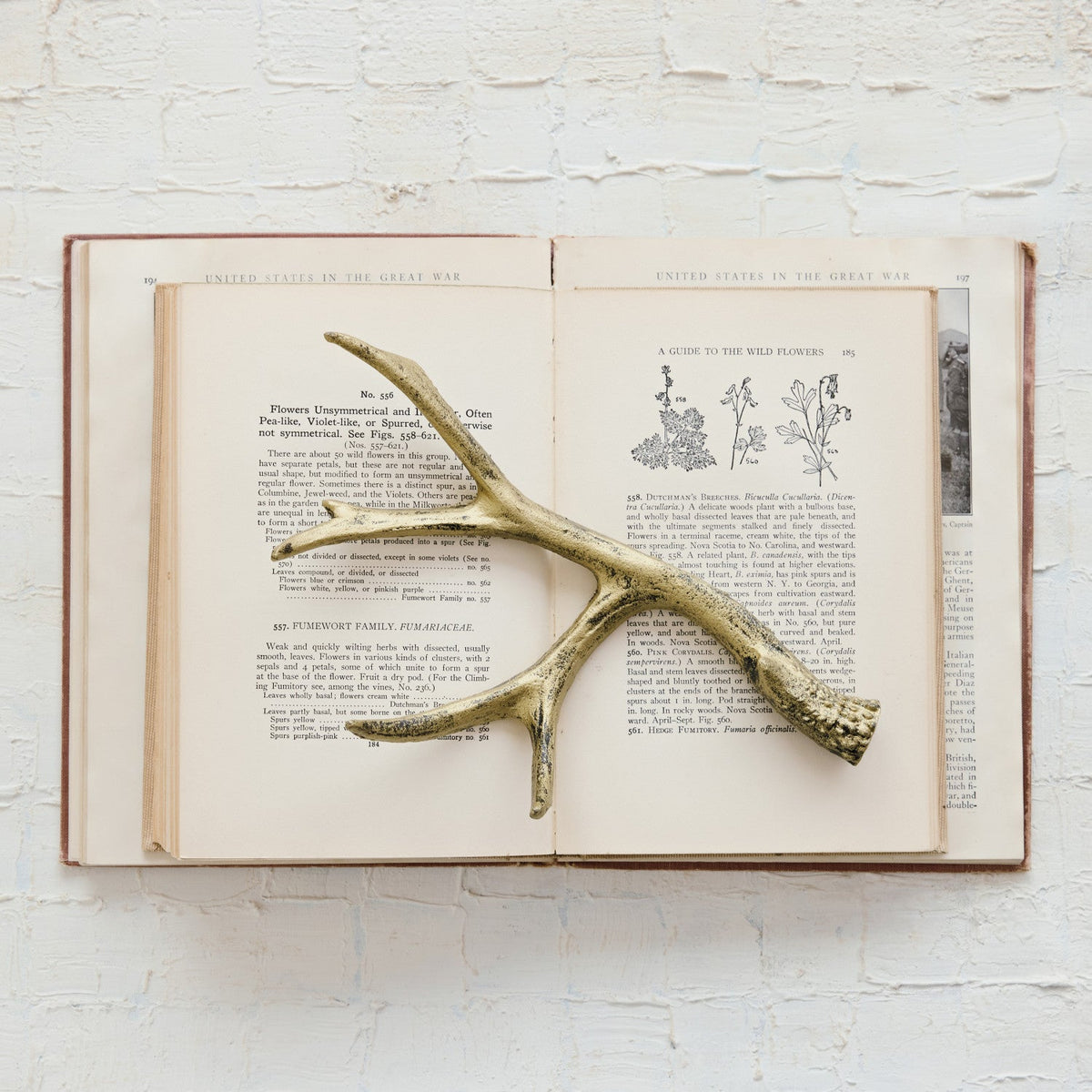 Distressed Gold Cast Iron Antler