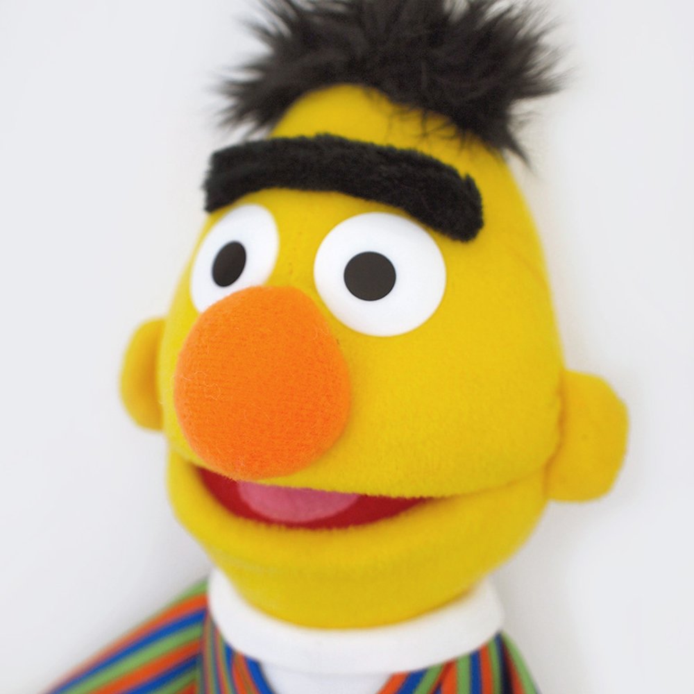 Sesame Street Bert 14 inch